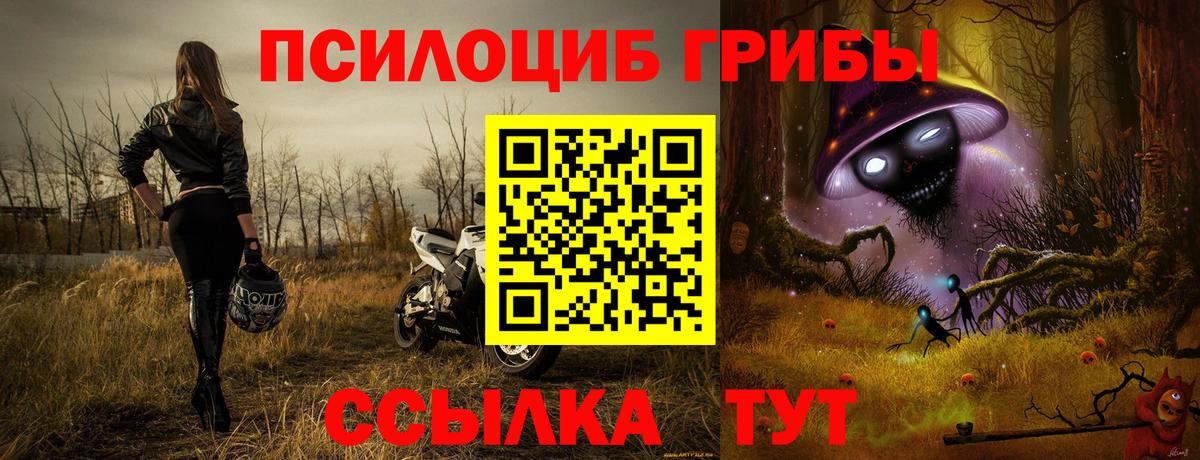 Псилоцибиновые грибы ЛСД  Псилоцибиновые грибы ЛСД  Лабинск  Вход с VPN 